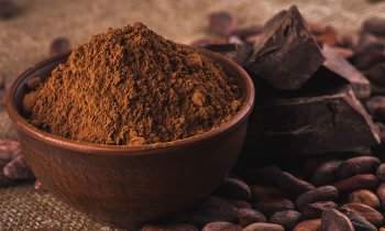 In questo articolo parliamo dell'estratto di cacao e del suo principio attivo più importante, la teobromina. Scopriremo insieme le loro proprietà e la potenziale attività dimagrante