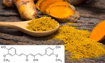 In questo articolo parliamo della Curcumina, un principio attivo naturale molto studiato per le potenzialità antinfiammatorie e antitumorali, che secondo recenti studi sembrerebbero associate anche a una spiccata attività dimagrante