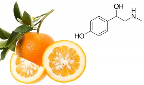 In questo articolo parliamo della Sinefrina, principio attivo caratterizzante dell'arancio amaro, utile per dimagrire grazie alle attività anoressizzanti e brucia grassi.