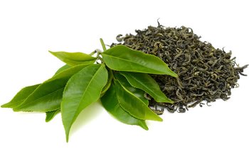 In questo articolo parliamo del Tè Verde, nota bevanda antiossidante dalle interessanti proprietà dimagranti, legate soprattutto alla presenza delle catechine.