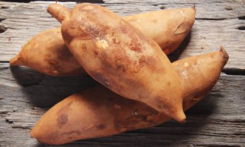 In questo articolo parliamo dello Yacon, un tubero tropicale simile alla patata che si sta rivelando un prezioso alleato nella lotta a sovrappeso e obesità.