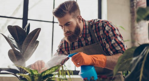 Il sapone molle rappresenta un'alternativa ecologica agli antiparassitari di sintesi; vediamo quindi quali sono le sue proprietà e come usarlo al meglio, anche per la cura del bucato