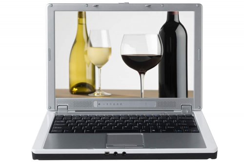 Il web offre una vasta gamma di vetrine virtuali nelle quali sono esibite innumerevoli bottiglie di vino. Per non cadere nelle trappole del web e scegliere il vino giusto, è bene diffidare da offerte esagerate, preferendo siti chiari e affidabili