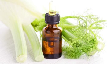 In questo articolo parliamo dell'Olio Essenziale di Finocchio, spiegandone Caratteristiche, Benefici e Usi in Aromaterapia. Con Ricette Naturali e Informazioni sul Dosaggio, le Controindicazioni e i Modi d'Uso Corretto per Evitare Effetti Collaterali