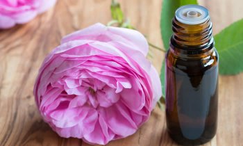 In questo articolo parliamo dell'Olio Essenziale di Legno di Rosa, spiegandone Caratteristiche, Benefici e Usi in Aromaterapia. Con Ricette Naturali e Informazioni sul Dosaggio, le Controindicazioni e i Modi d'Uso Corretto per Evitare Effetti Collaterali
