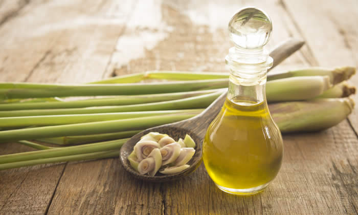 Olio Essenziale di Lemongrass