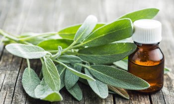 In questo articolo parliamo dell'Olio Essenziale di Salvia, spiegandone Caratteristiche, Benefici e Usi in Aromaterapia. Con Ricette Naturali e Informazioni sul Dosaggio, le Controindicazioni e i Modi d'Uso Corretto per Evitare Effetti Collaterali