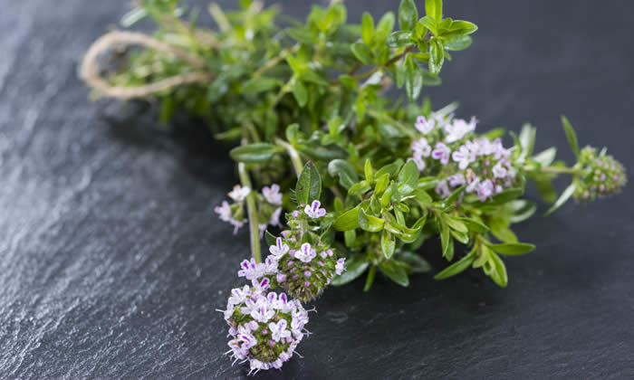 Olio Essenziale di Santoreggia Montana