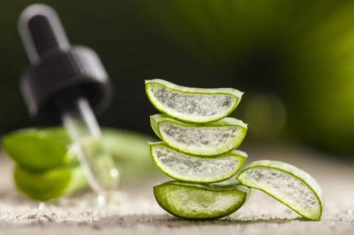 In questo articolo esaminiamo le proprietà salutistiche del Gel di Aloe Vera, analizzando con il supporto di più di 50 Studi Tutti gli Effetti Curativi Documentati di questo Importante Alleato della Salute