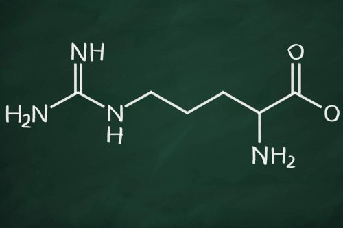 In questo articolo parliamo dell'Arginina e dei suoi potenziali benefici per lo Sport e la Salute, analizzandone i vari campi di applicazione, gli alimenti apportatori, l'efficacia Clinica, ma anche Prezzo, Uso, Effetti Collaterali e Controindicazioni