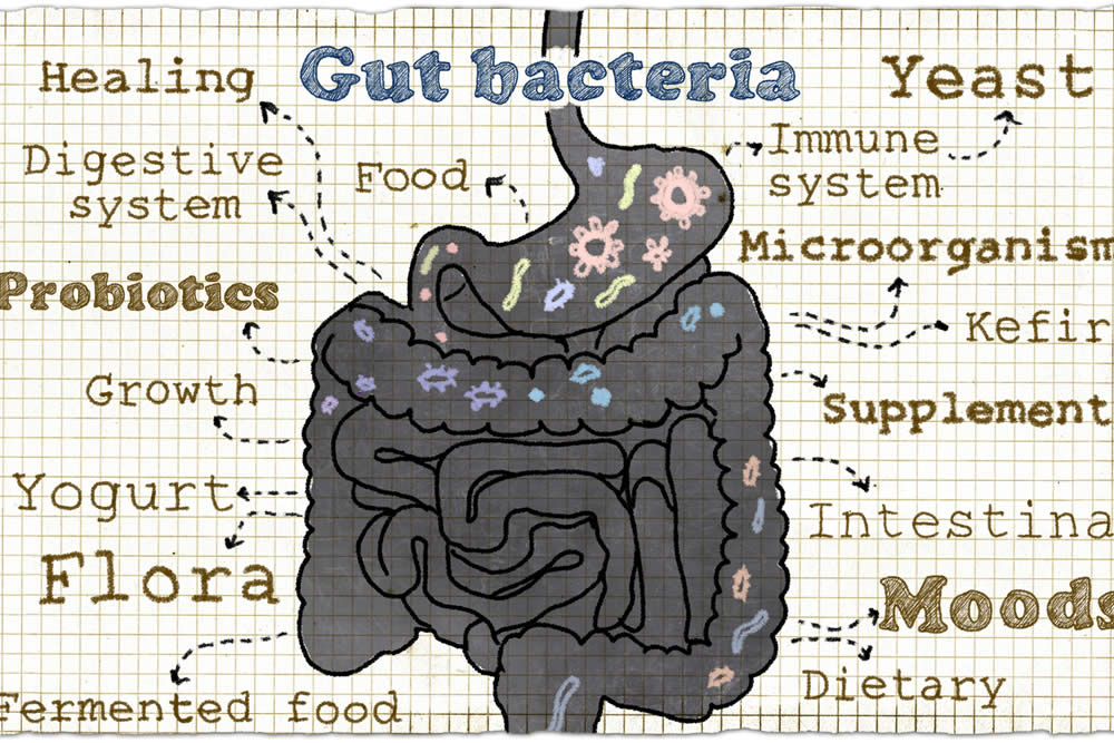 Probiotici