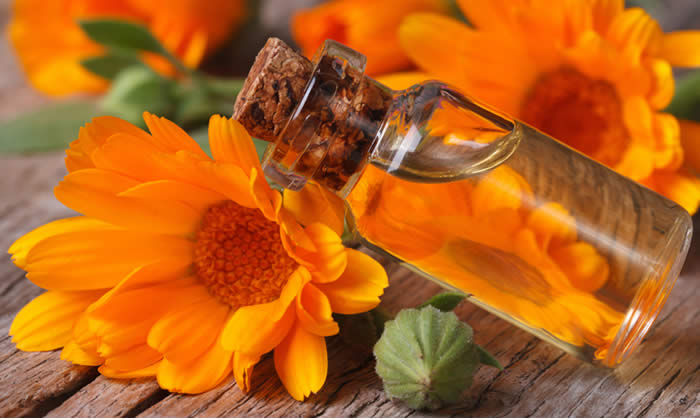 Olio di Calendula