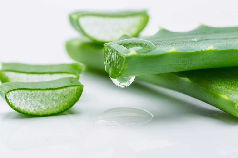 Aloe Integratore