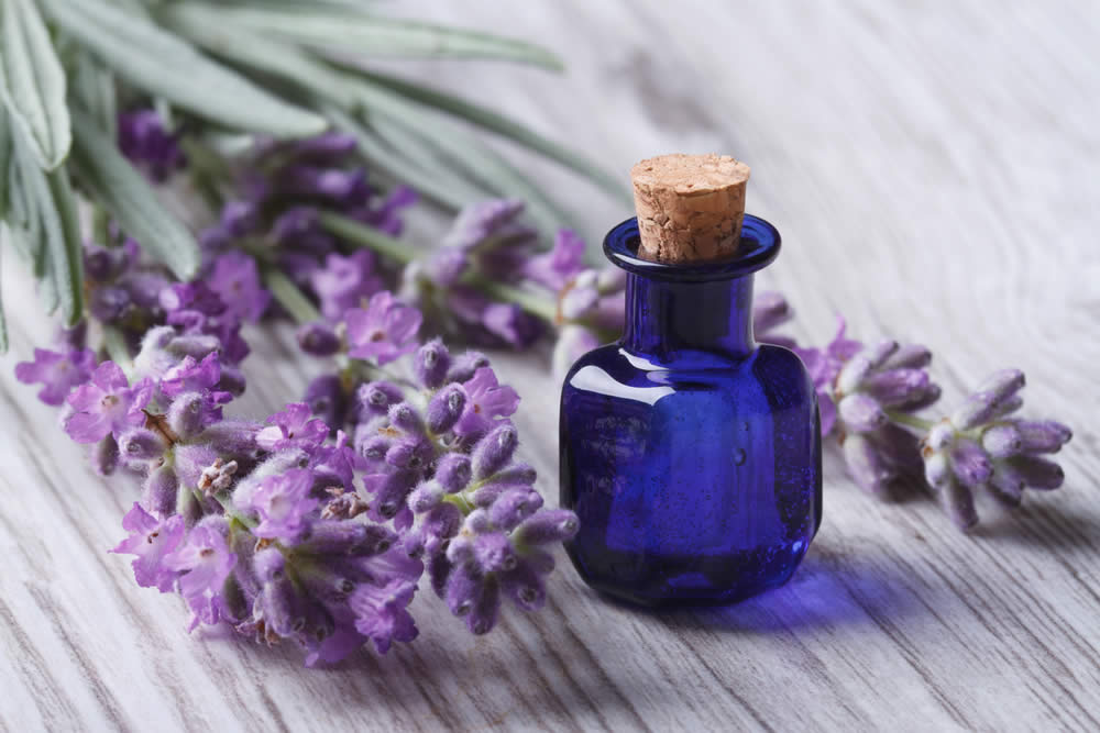 Lavanda contro i Disturbi Digestivi