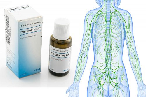 In questa recensione parliamo di Lymphomyosot (farmaco omeopatico prescritto dai medici omeopati nelle patologie con interessamento del Sistema Linfatico), analizzandone ingredienti, efficacia, uso ed effetti collaterali