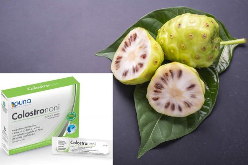 In questa recensione parliamo di Colostro Noni (integratore a base di colostro e succo di Noni, utili per l'azione tonica, antiossidante e immunostimolante), analizzandone ingredienti, proprietà, efficacia, sicurezza, modo d'uso ed effetti collaterali