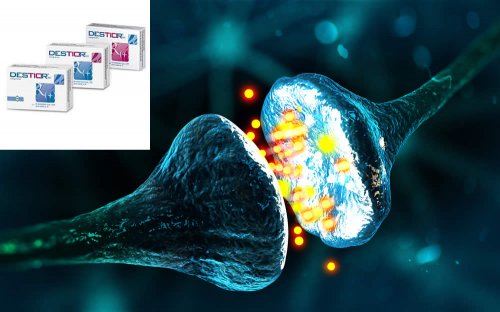 In questo articolo Parliamo dell'integratore Destior (utile per la salute delle cellule nervose in presenza di neuropatie periferiche), analizzandone ingredienti, composizione, efficacia, modo d'uso e possibili effetti collaterali e controindicazioni