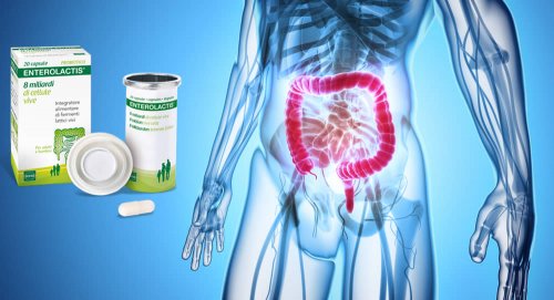 In questo articolo Parliamo degli integratori Enterolactis (a base di lattobacilli utili per l'equilibrio della flora intestinale), analizzandone ingredienti, composizione, proprietà, efficacia, modo d'uso, controindicazioni ed effetti collaterali