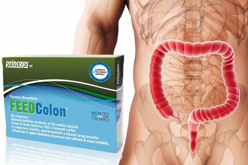 In questa recensione parliamo di FeedColon (alimento a fini medici speciali con Acido Butirrico, Prebiotici e Probitici, utili per la salute del colon), analizzandone ingredienti, composizione, efficacia, modo d'uso ed effetti collaterali