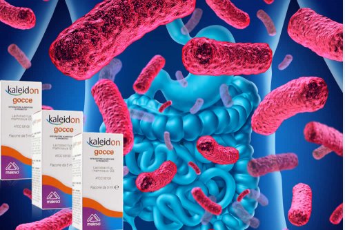 In questo articolo Parliamo dell'integratore probiotico Kaleidon Gocce (a base di lattobacilli utili per l'equilibrio della flora intestinale), analizzandone ingredienti, composizione, efficacia, modo d'uso e possibili effetti collaterali