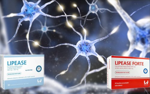 In questo articolo Parliamo degli integratori Lipease (utili per la salute delle cellule nervose in presenza di neuropatie periferiche), analizzandone ingredienti, composizione, efficacia, modo d'uso e possibili effetti collaterali e controindicazioni