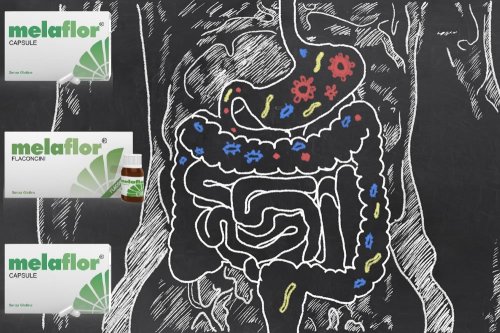 In questa recensione parliamo di Melaflor (integratore simbiotico utile per riequilibrare la flora intestinale alterata da diete scorrette o antibiotici), analizzandone ingredienti, composizione, efficacia, modo d'uso ed effetti collaterali