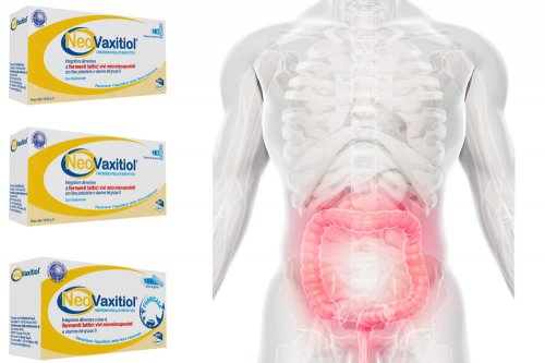 In questa recensione parliamo di Neovaxitiol (integratore a base di Bifidobatteri e Vitamine del Gruppo B, per il riequilibrio della flora intestinale e lo stimolo immunitario), analizzandone ingredienti, efficacia, modo d'uso ed effetti collaterali