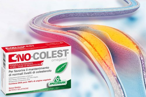 In questo articolo Parliamo dell'integratore No-Colest ® Omegasol, a base di principi attivi utili per ridurre i livelli di colesterolo nel sangue, analizzandone ingredienti, composizione, efficacia, modo d'uso ed effetti collaterali