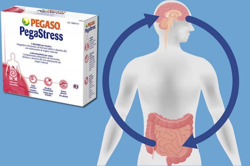 In questa recensione parliamo di Pegastress (integratore a base di Probiotici, utile in caso di disbiosi, crampi addominali e tensioni emotive da stress), analizzandone ingredienti, efficacia, modo d'uso, controindicazioni, prezzo ed effetti collaterali