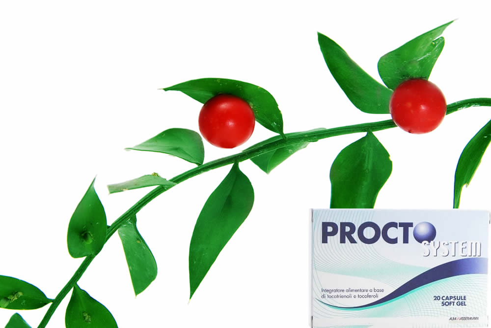 Procto System