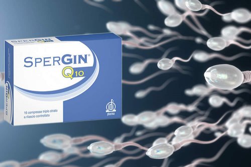 In questa recensione parliamo di Spergin Q10 (integratore antiossidante con Citrullina, Ornitina, Carnitina e Arginina, utile per migliorare la qualità degli spermatozoi), analizzandone ingredienti, composizione, efficacia, uso ed effetti collaterali