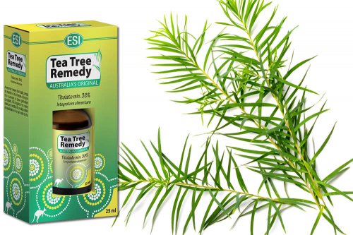 In questa recensione parliamo di Tea Tree Remedy (puro olio essenzaile di Tea Tree, con proprietà antisettiche), analizzandone ingredienti, efficacia e modo d'uso, possibili benefici, controindicazioni, prezzo ed effetti collaterali