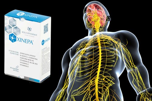 In questa recensione parliamo di Xinepa (integratore utile per il controllo del dolore associato a neuropatie periferiche di varia origine), analizzandone ingredienti, composizione, efficacia, modo d'uso, controindicazioni ed effetti collaterali