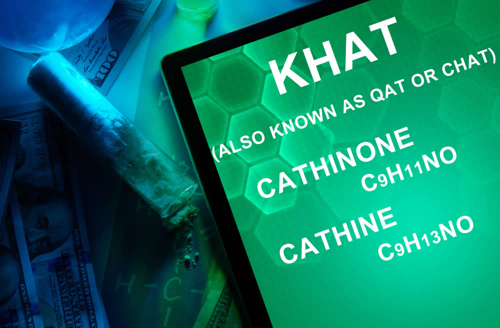 Khat Catha Edulis