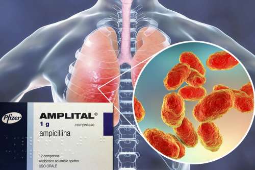 Recensione del Farmaco Amplital: Quando Fa bene? Quando Fa Male? Per Cosa si Usa? Dosi e Uso Corretto dell'Ampicillina come Antibiotico contro le Infezioni. Foglio Illustrativo Spiegato, Controindicazioni ed Effetti Collaterali