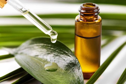 In questo articolo parliamo di creme e pomate a base di Tea Tree Oil, delle loro proprietà e delle loro destinazioni d'uso, analizzandone efficacia e modo d'uso, possibili benefici, controindicazioni, prezzo ed effetti collaterali