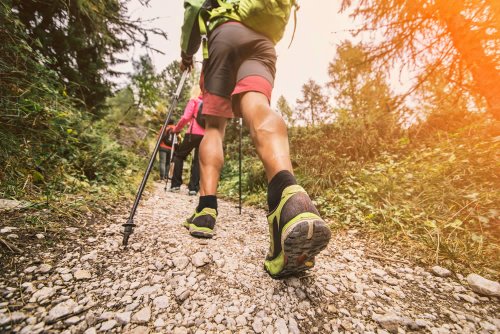 Le esigenze di chi pratica trekking e nordic walking sono diverse da quelle di un alpinista: per i primi sono meglio i tessuti soft-shell, per il secondo gli hard-shell