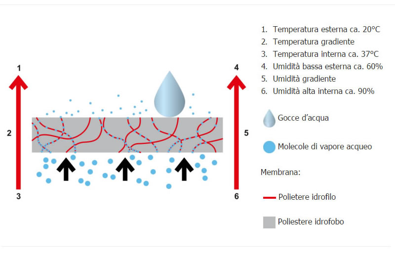 SympaTex