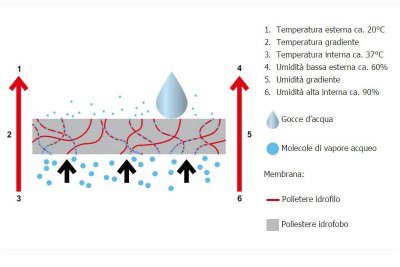 Principio di funzionamento della membrana Sympatex: la traspirazione è garantita da catene idrofiliche capaci di condurre il vapore acqueo all'esterno sfruttando i gradienti di temperatura e umidità