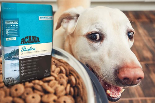In questa recensione parliamo di Acana Pacifica (crocchette per cani adulti, senza cereali, ma ricche di proteine, per offrire al cane una dieta sana e bilanciata), analizzandone proprietà nutrizionali, ingredienti, prezzo e modo d'uso