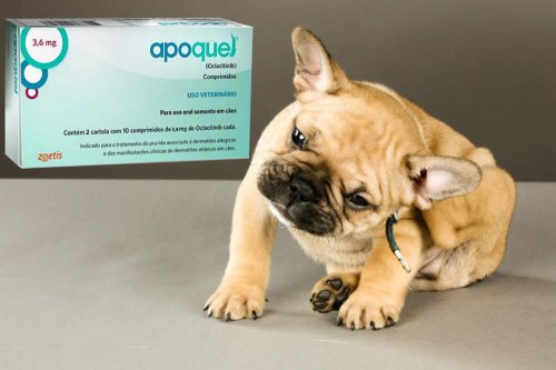In questa recensione parliamo di Apoquel (farmaco veterinario per cani, indicato per il trattamento del prurito associato a dermatite allergica), analizzandone principi attivi, uso ed effetti collaterali