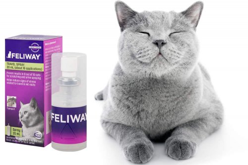 In questa recensione parliamo dei prodotti Feliway (per favorire il benessere dei gatti cuccioli e adulti nelle circostanze che potrebbero generare stress, ansia o paura), analizzandone funzionamento, efficacia, prezzo, modo d'uso ed effetti collaterali