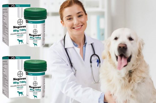 In questa recensione parliamo di Neguvon (farmaco veterinario antiparassitario in polvere, utilizzato per combattere i parassiti esterni del cane), analizzandone principi attivi, modo d'uso, controindicazioni ed effetti collaterali