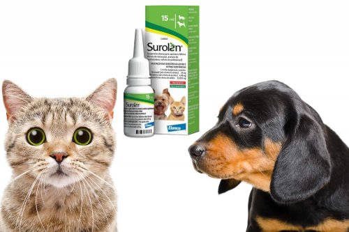 In questa recensione parliamo di Surolan (farmaco veterinario otologico per cani e gatti, indicato per il trattamento delle otiti esterne), analizzandone principi attivi, uso ed effetti collaterali